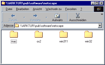 Netzwerkumgebung - Netscape