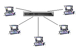 Sterntopologie